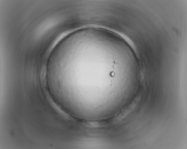 X0000113960911200910091626