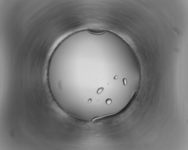 X0000113960912200910091626