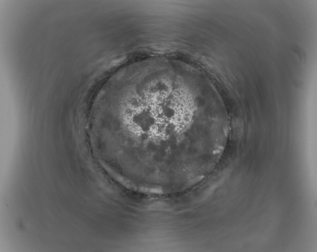 X0000113960913200910091626