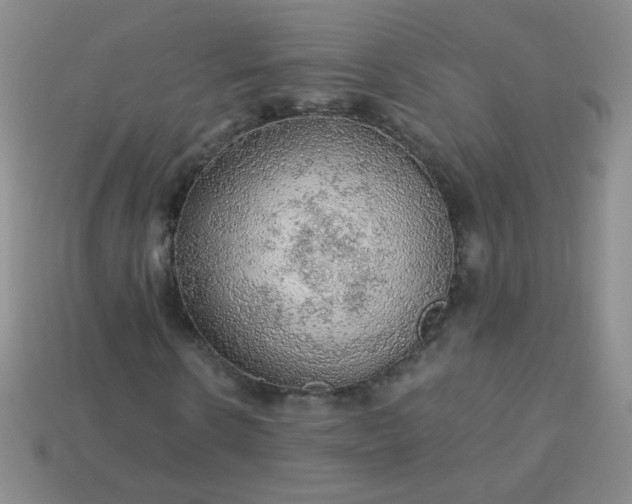 X0000113960914200910091626