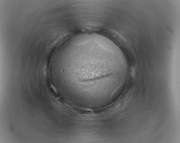 X0000113960915200910091626