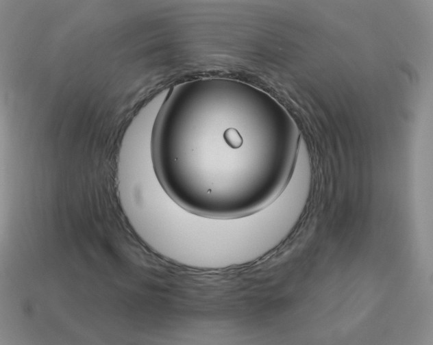 X0000113960916200910091626