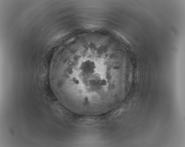 X0000113960917200910091626