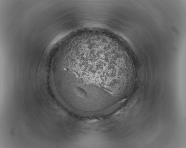 X0000113960919200910091626