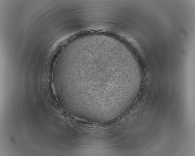 X0000113960920200910091626