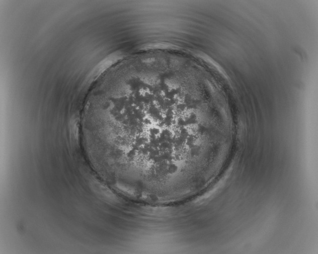 X0000113960921200910091626