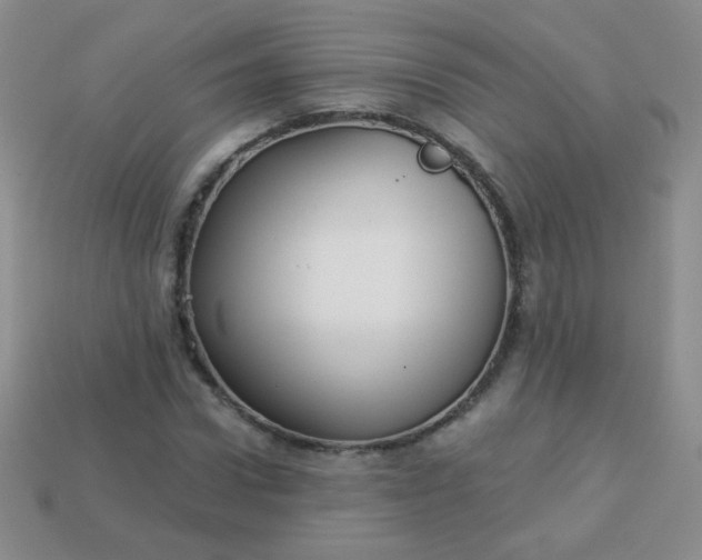 X0000113960922200910091626