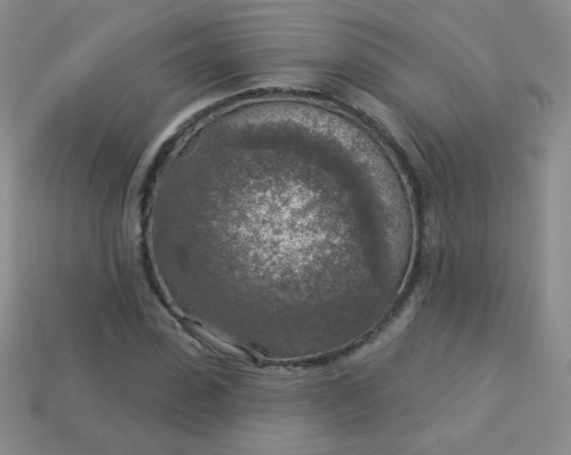 X0000113960923200910091626