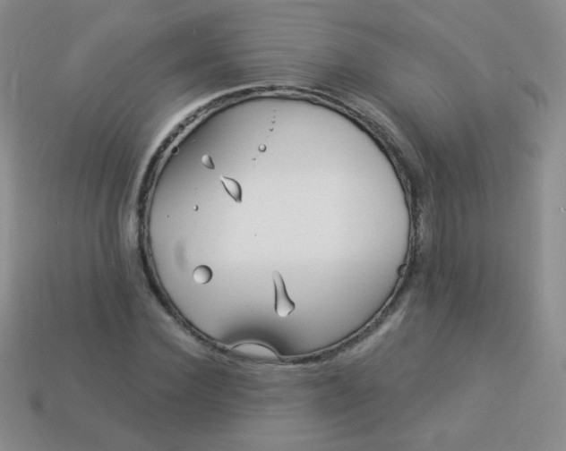 X0000113960924200910091626