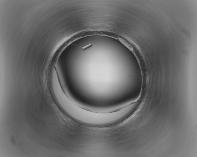 X0000113960925200910091626