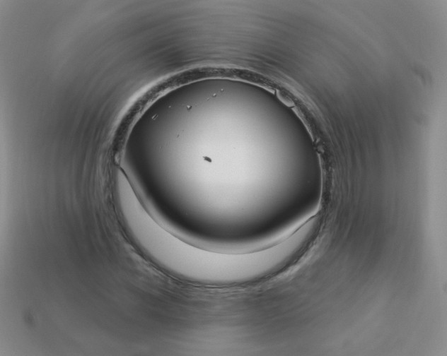 X0000113960926200910091626