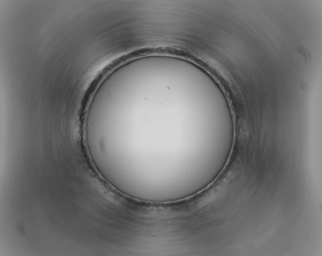 X0000113960927200910091626