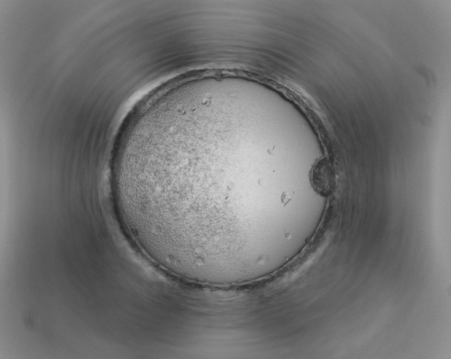 X0000113960928200910091626