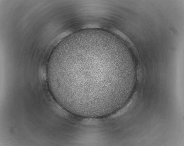 X0000113960929200910091626