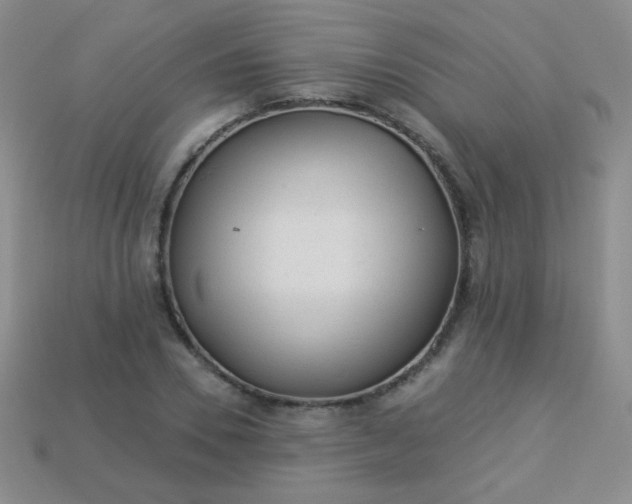 X0000113960930200910091626