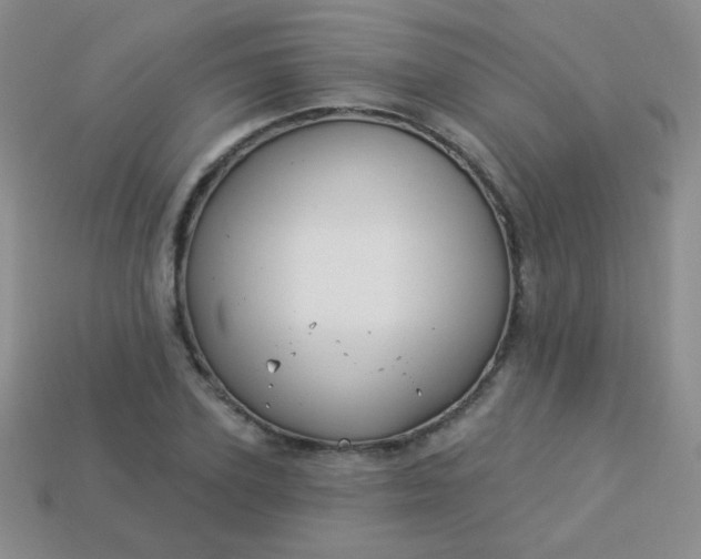 X0000113960931200910091626