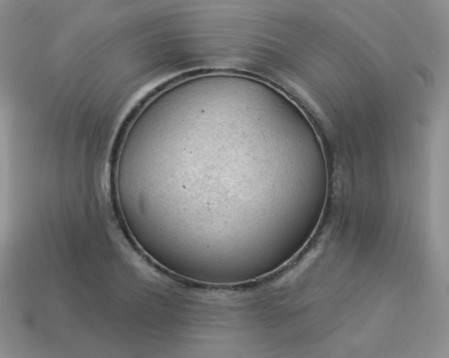 X0000113960932200910091626