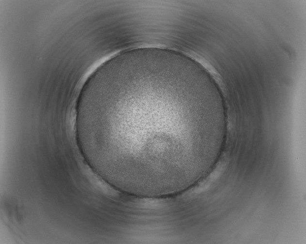 X0000113960933200910091626