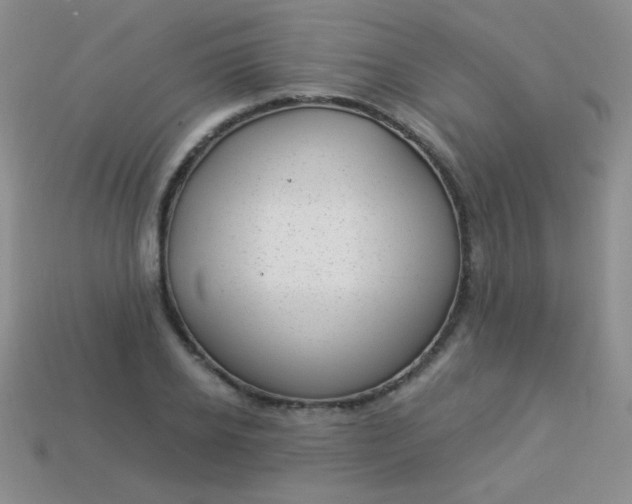 X0000113960934200910091626