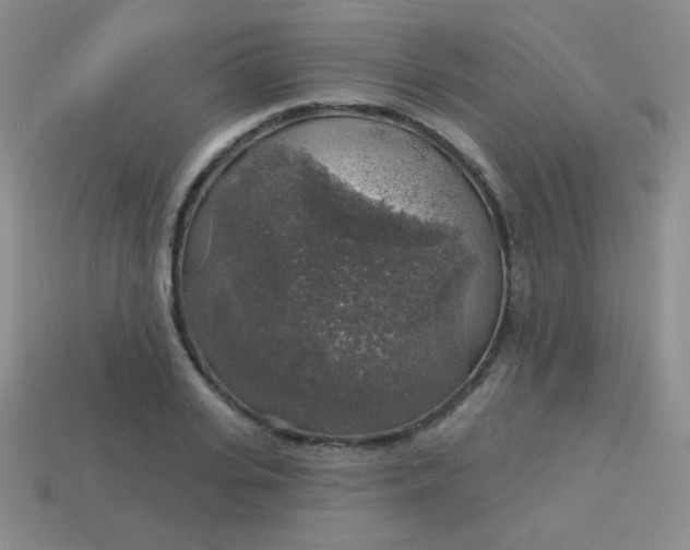 X0000113960935200910091626