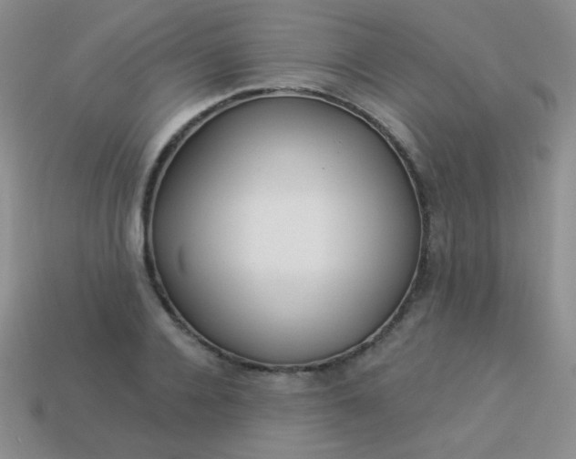 X0000113960936200910091626