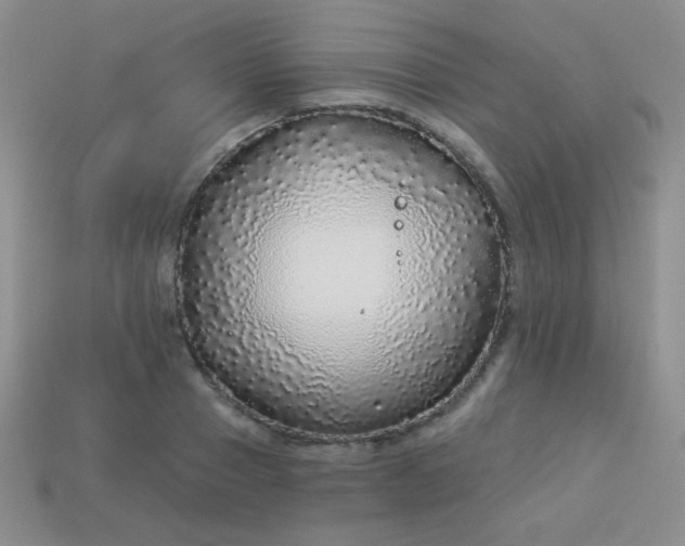 X0000113960937200910091626