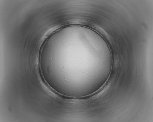 X0000113960938200910091626