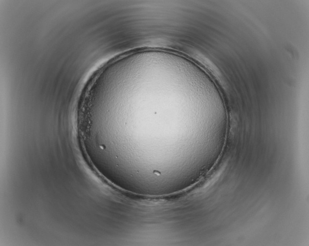 X0000113960939200910091626