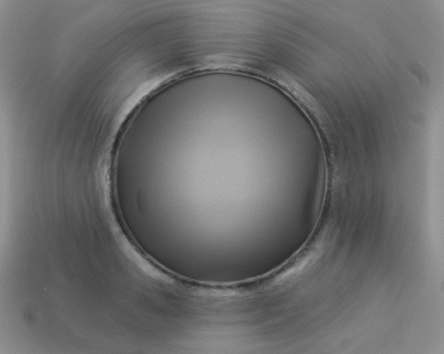 X0000113960941200910091626