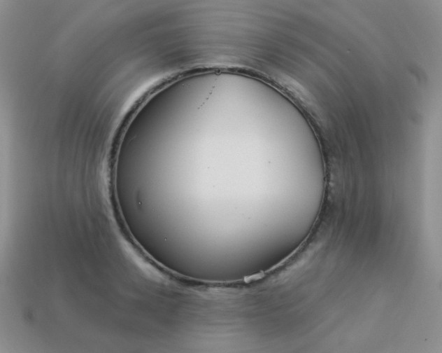 X0000113960942200910091626