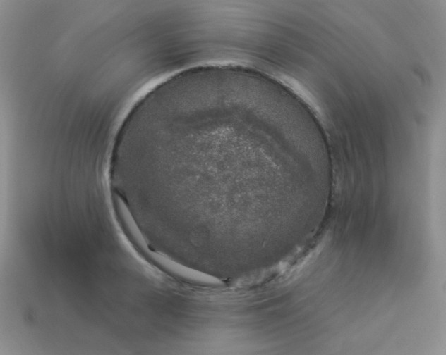 X0000113960943200910091626