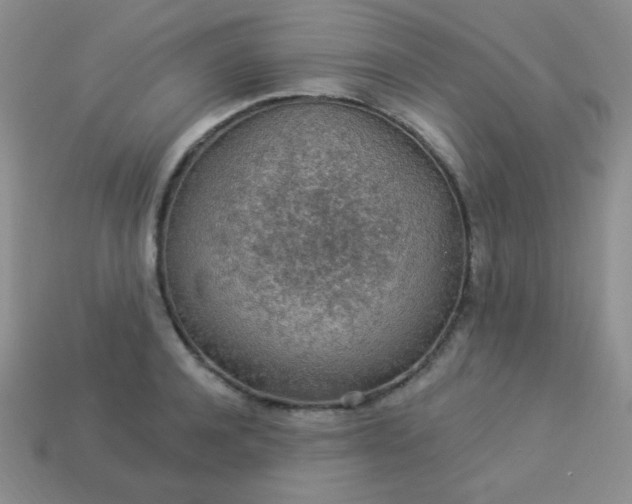 X0000113960944200910091626