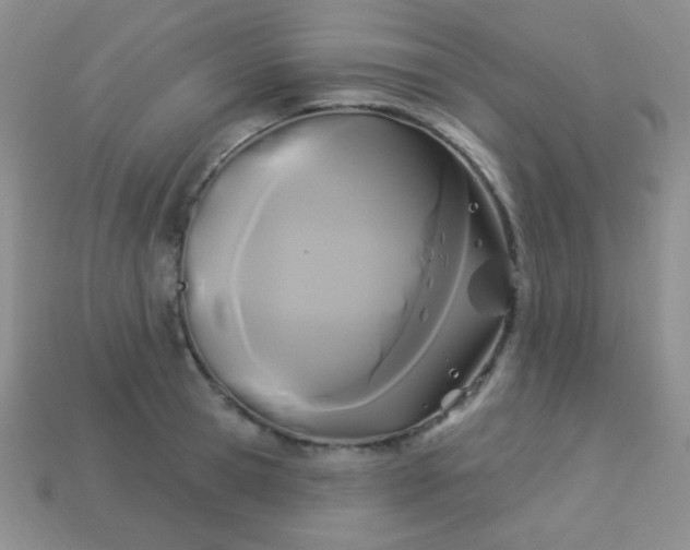 X0000113960945200910091626