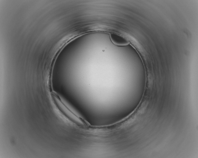 X0000113960946200910091626