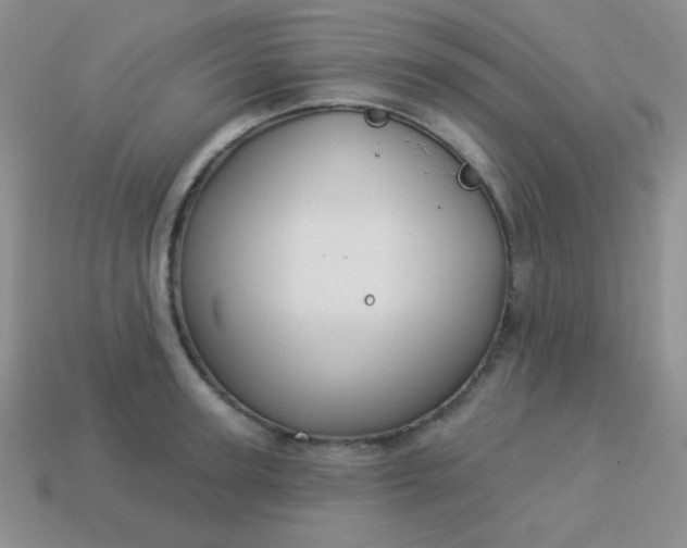 X0000113960947200910091626