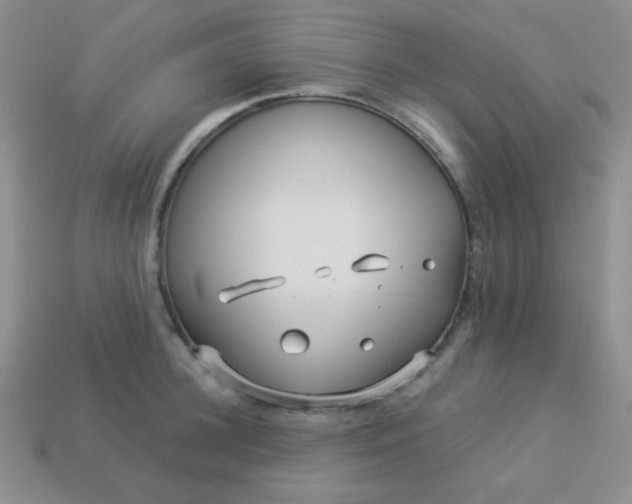 X0000113960948200910091626