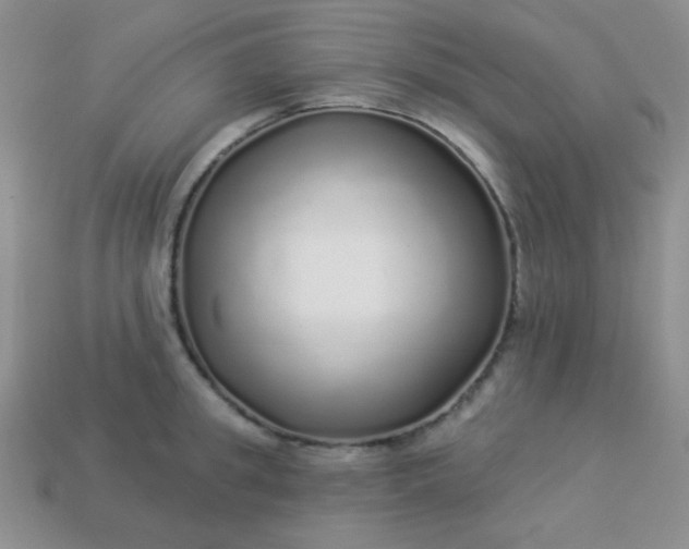 X0000113960949200910091626