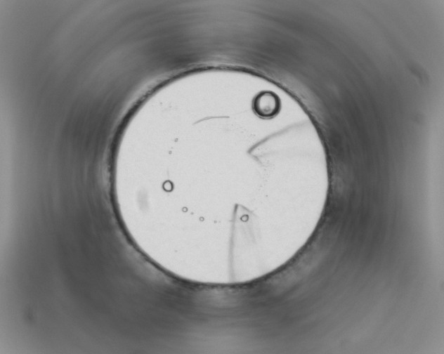 X0000113960950200910091626