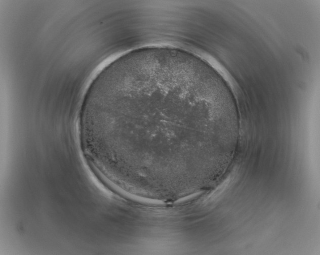 X0000113960951200910091626