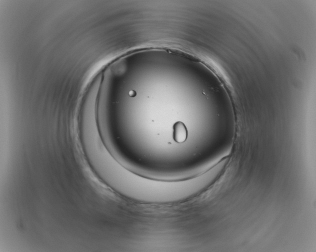 X0000113960952200910091626