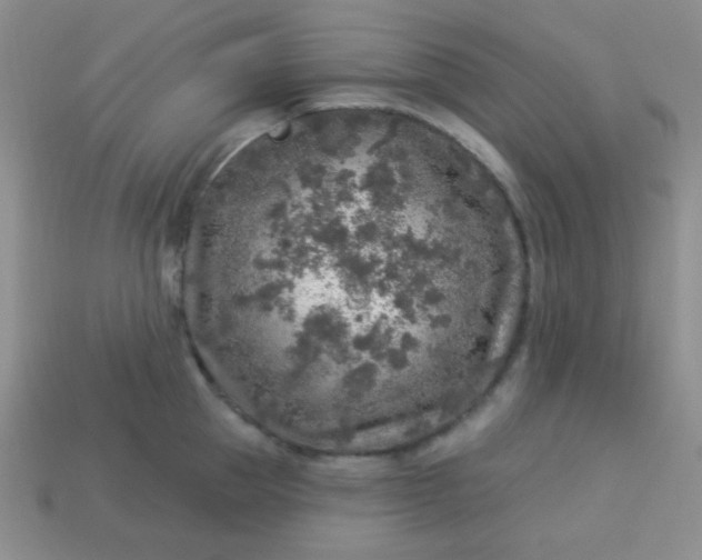 X0000113960953200910091626