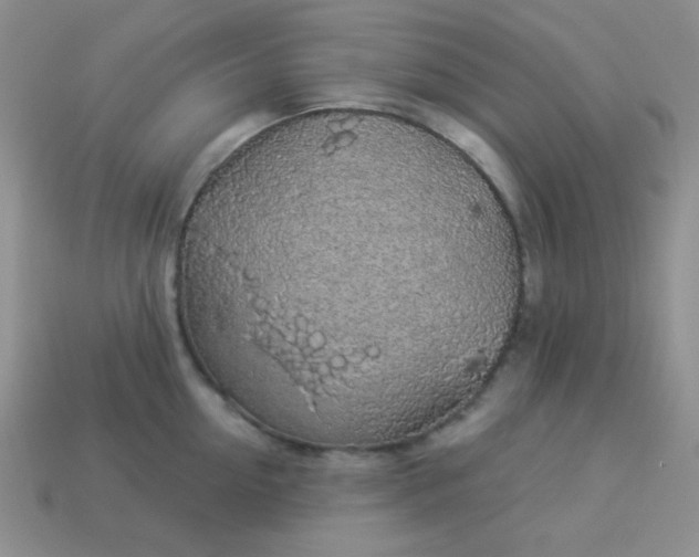 X0000113960954200910091626