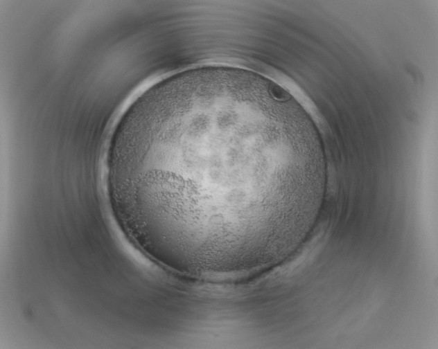 X0000113960955200910091626