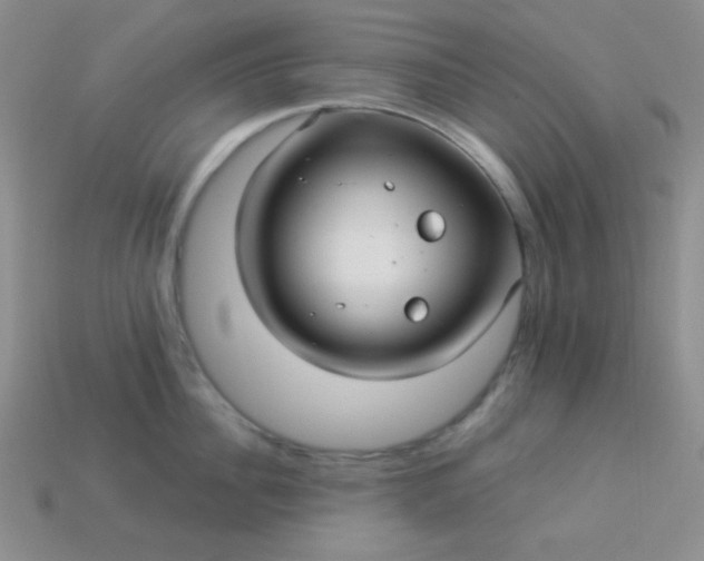 X0000113960956200910091626