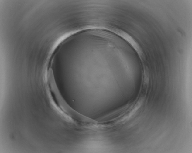 X0000113960958200910091626