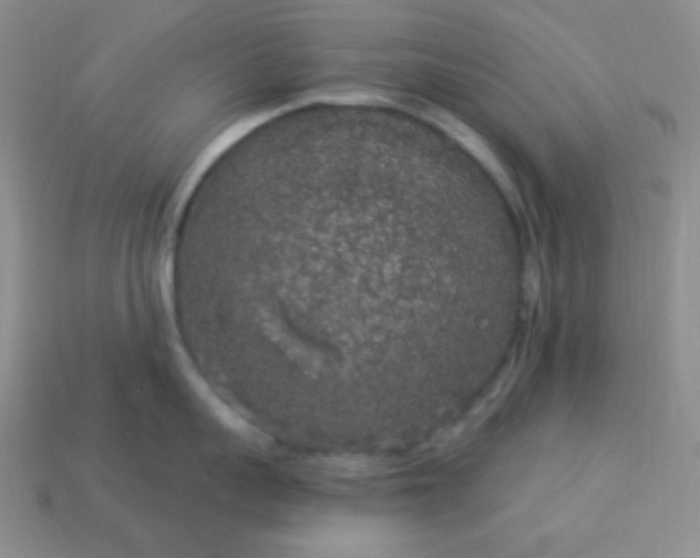 X0000113960959200910091626