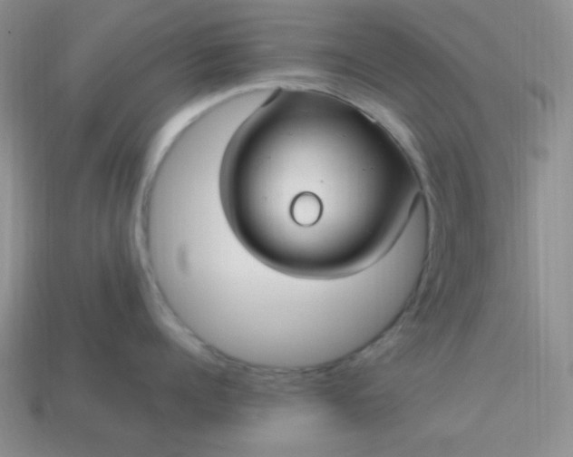 X0000113960960200910091626