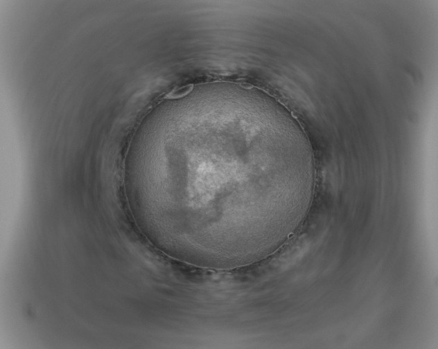 X0000113960961200910091626