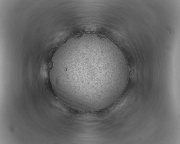 X0000113960962200910091626