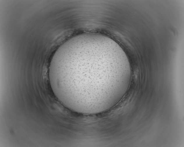 X0000113960964200910091626